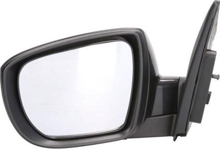 BLIC 5402-04-1502201P - Rétroviseur extérieur droxauto.com