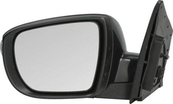 BLIC 5402-04-1502207P - Rétroviseur extérieur droxauto.com