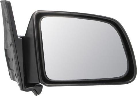 BLIC 5402-04-1115989P - Rétroviseur extérieur droxauto.com