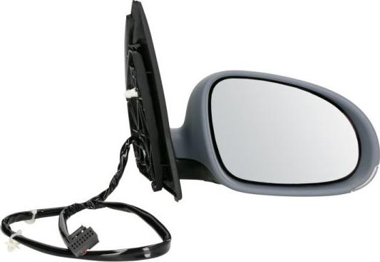 BLIC 5402-04-1139128P - Rétroviseur extérieur droxauto.com