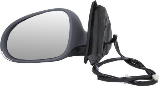 BLIC 5402-04-1131121P - Rétroviseur extérieur droxauto.com