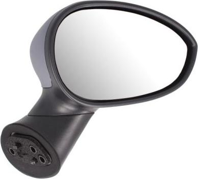 BLIC 5402-04-1129933 - Rétroviseur extérieur droxauto.com