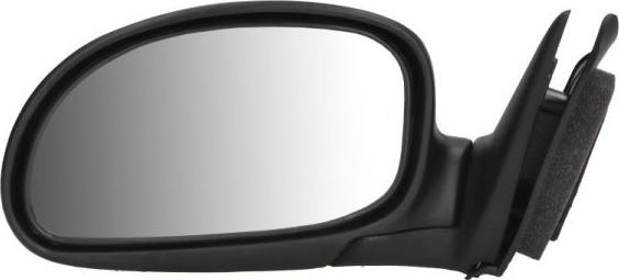 BLIC 5402-04-1125124P - Rétroviseur extérieur droxauto.com