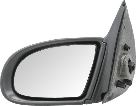 BLIC 5402-04-1125220P - Rétroviseur extérieur droxauto.com