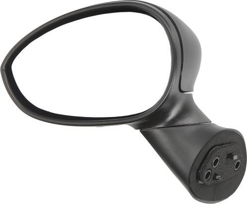 BLIC 5402-04-1121929P - Rétroviseur extérieur droxauto.com