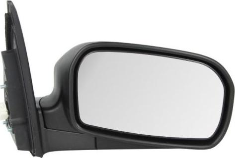 BLIC 5402-04-1221925P - Rétroviseur extérieur droxauto.com