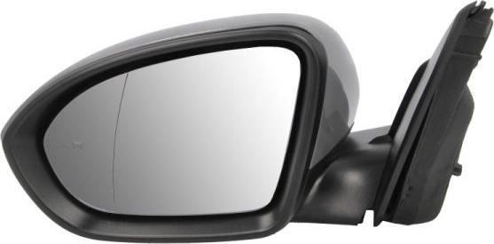 BLIC 5402-04-1785316P - Rétroviseur extérieur droxauto.com