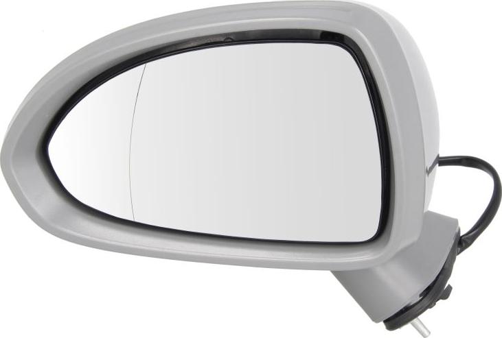 BLIC 5402-04-2001989P - Rétroviseur extérieur droxauto.com
