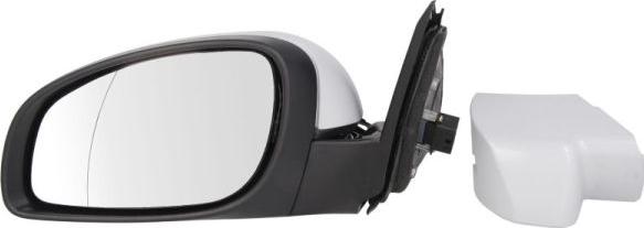 BLIC 5402-04-2002019P - Rétroviseur extérieur droxauto.com