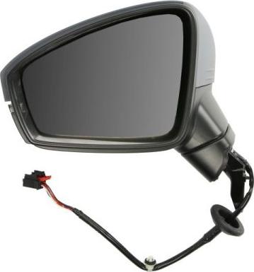 BLIC 5402-01-1609310P - Rétroviseur extérieur droxauto.com