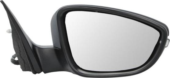 BLIC 5402-01-2002694P - Rétroviseur extérieur droxauto.com
