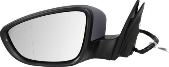 BLIC 5402-01-2002695P - Rétroviseur extérieur droxauto.com