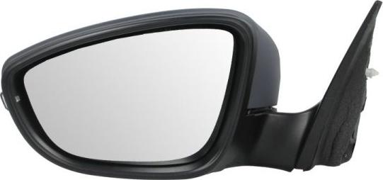 BLIC 5402-01-2002693P - Rétroviseur extérieur droxauto.com