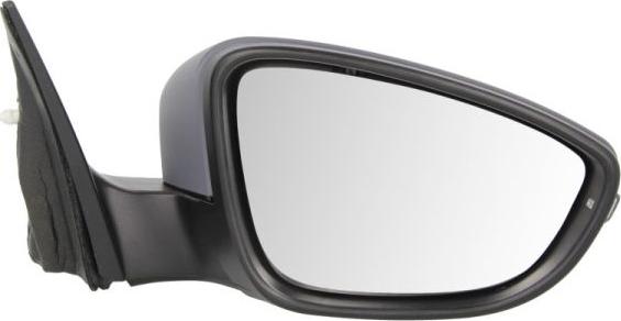 BLIC 5402-01-2002692P - Rétroviseur extérieur droxauto.com