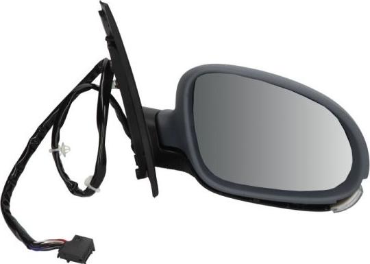 BLIC 5402-01-2002628P - Rétroviseur extérieur droxauto.com