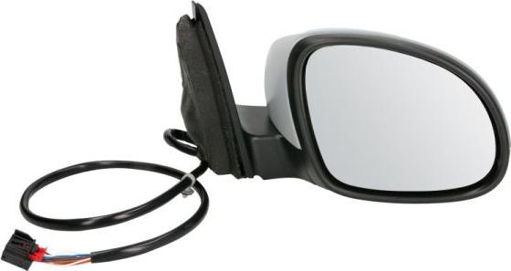 BLIC 5402-01-2002724P - Rétroviseur extérieur droxauto.com