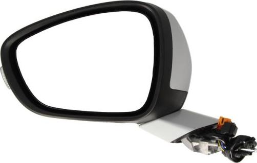BLIC 5402-08-035361P - Rétroviseur extérieur droxauto.com