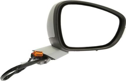 BLIC 5402-08-035362P - Rétroviseur extérieur droxauto.com