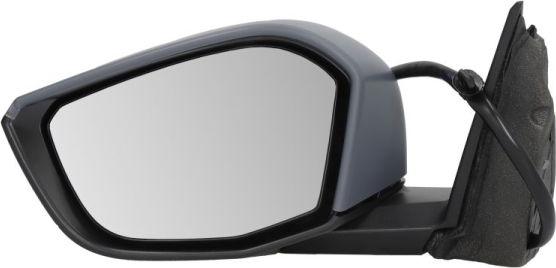 BLIC 5402-08-2543310P - Rétroviseur extérieur droxauto.com
