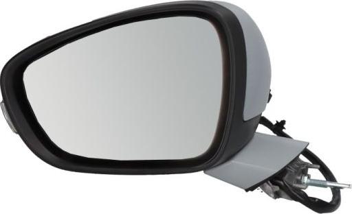 BLIC 5402-08-2002091P - Rétroviseur extérieur droxauto.com