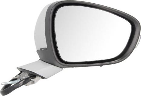 BLIC 5402-08-2002092P - Rétroviseur extérieur droxauto.com