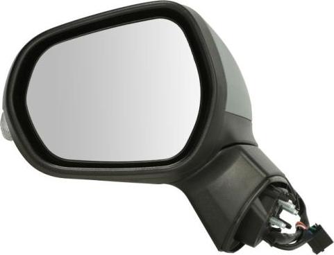 BLIC 5402-03-1892361P - Rétroviseur extérieur droxauto.com