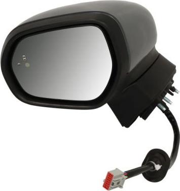 BLIC 5402-03-1892363P - Rétroviseur extérieur droxauto.com