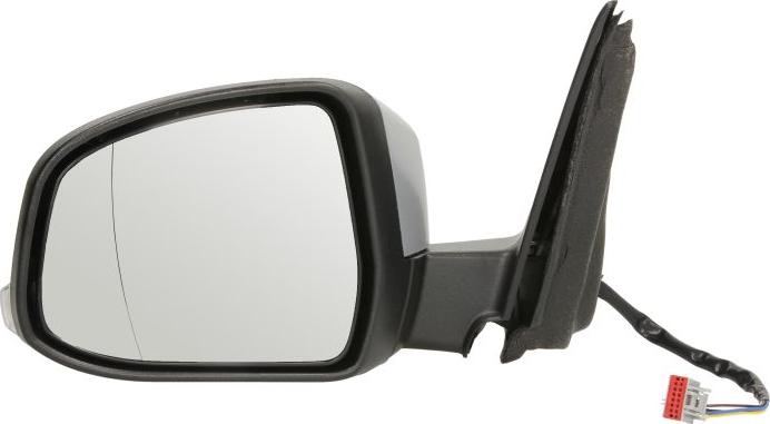 BLIC 5402-03-2001219P - Rétroviseur extérieur droxauto.com