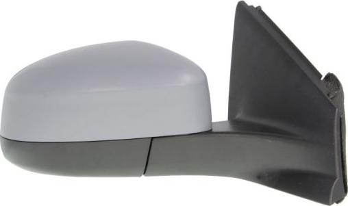 BLIC 5402-03-2001218P - Rétroviseur extérieur droxauto.com