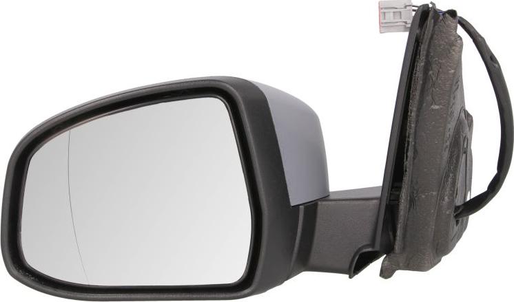 BLIC 5402-03-2001217P - Rétroviseur extérieur droxauto.com