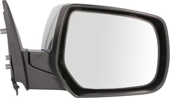 BLIC 5402-03-2001234P - Rétroviseur extérieur droxauto.com