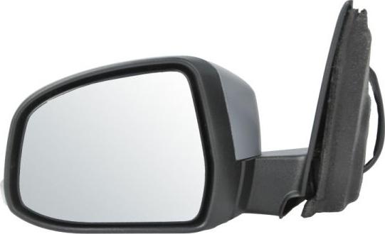 BLIC 5402-03-2001221P - Rétroviseur extérieur droxauto.com