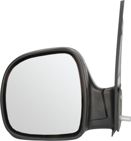 BLIC 5402-02-2001827P - Rétroviseur extérieur droxauto.com