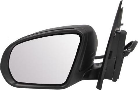 BLIC 5402-02-2299314P - Rétroviseur extérieur droxauto.com