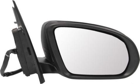 BLIC 5402-02-2299315P - Rétroviseur extérieur droxauto.com