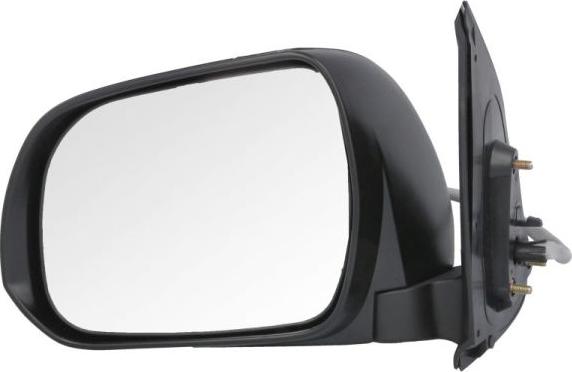 BLIC 5402-19-2002489P - Rétroviseur extérieur droxauto.com
