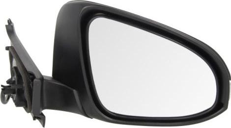 BLIC 5402-19-2002556P - Rétroviseur extérieur droxauto.com