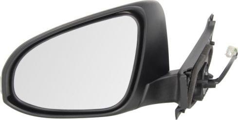 BLIC 5402-19-2002551P - Rétroviseur extérieur droxauto.com