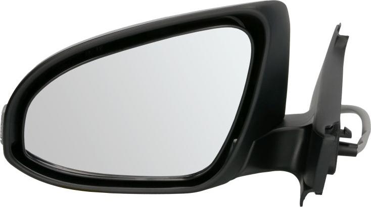 BLIC 5402-19-2002557P - Rétroviseur extérieur droxauto.com