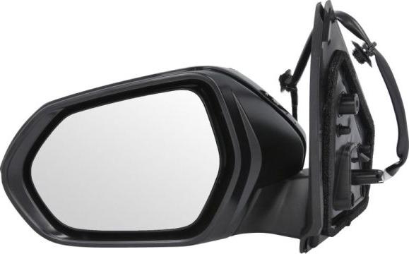 BLIC 5402-19-2392314P - Rétroviseur extérieur droxauto.com