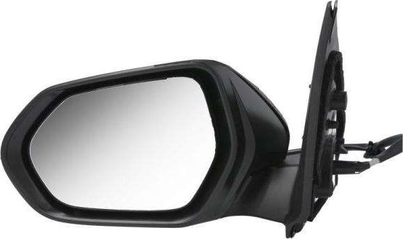 BLIC 5402-19-2392312P - Rétroviseur extérieur droxauto.com