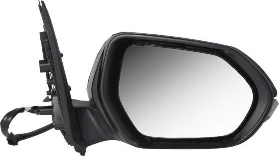 BLIC 5402-19-2392317P - Rétroviseur extérieur droxauto.com