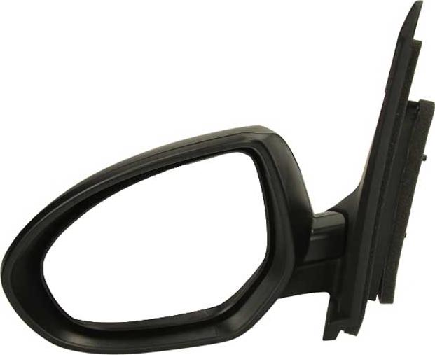 BLIC 5402-14-049361P - Rétroviseur extérieur droxauto.com