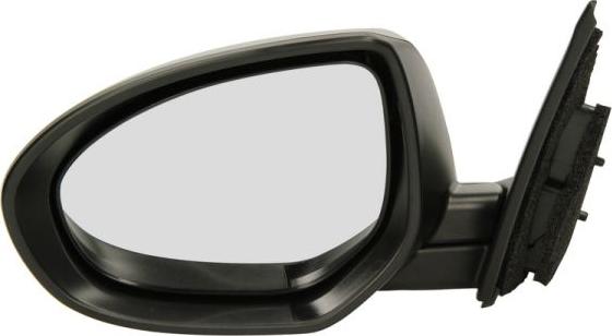BLIC 5402-14-050361P - Rétroviseur extérieur droxauto.com