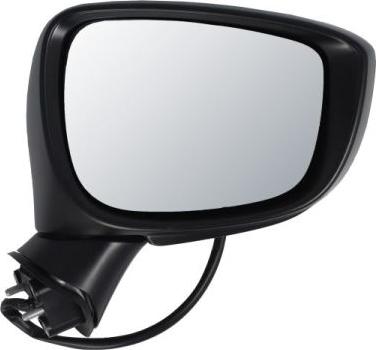BLIC 5402-14-0770317P - Rétroviseur extérieur droxauto.com