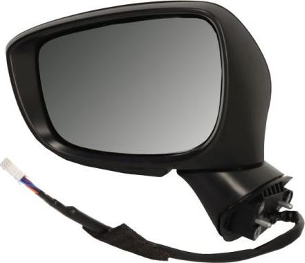 BLIC 5402-14-0770324P - Rétroviseur extérieur droxauto.com