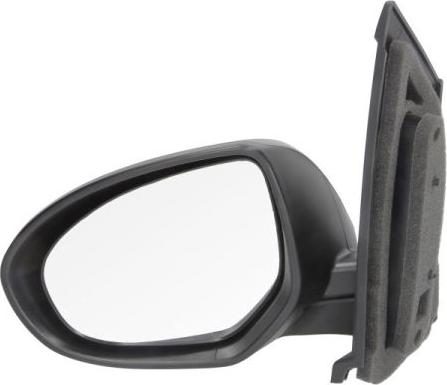 BLIC 5402-14-2001681P - Rétroviseur extérieur droxauto.com