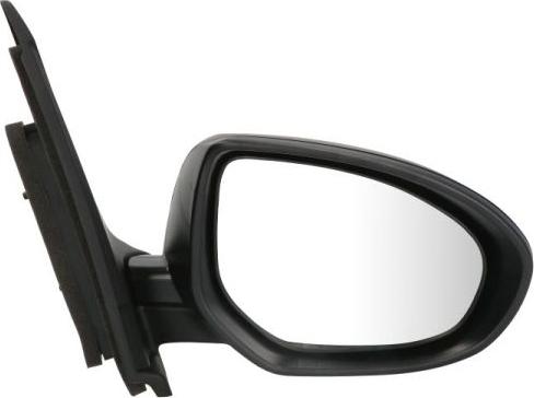 BLIC 5402-14-2001682P - Rétroviseur extérieur droxauto.com