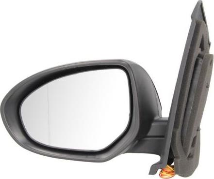 BLIC 5402-14-2001679P - Rétroviseur extérieur droxauto.com