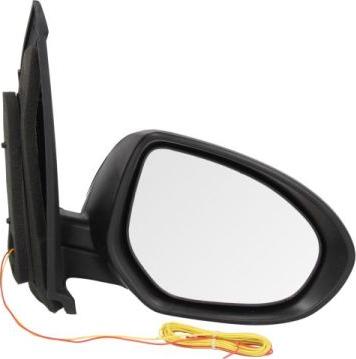 BLIC 5402-14-2001678P - Rétroviseur extérieur droxauto.com